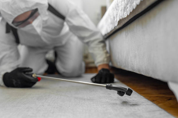 Professional Bed Bug Control technician working in Shelton, CT