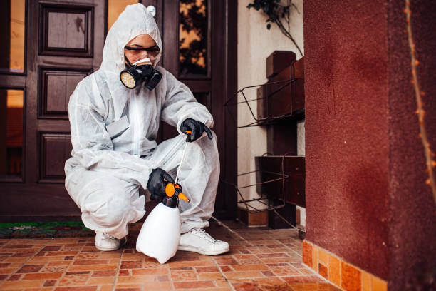 Reliable Bed Bug Control contractor in Shelton, CT by Nex Pest Control